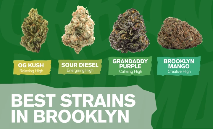 best strains in brooklyn