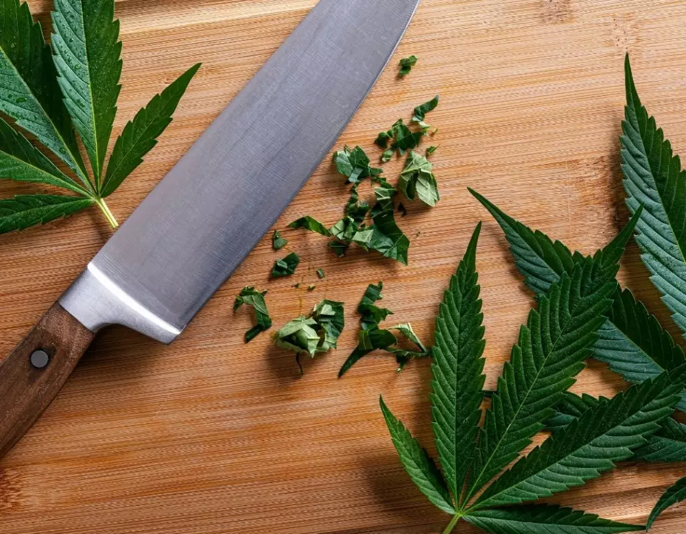 How To Taste and Pair Cannabis With Food