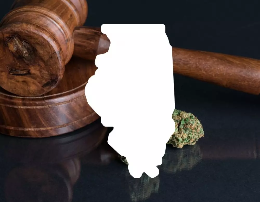 Illinois Legalization: What You Need To Know