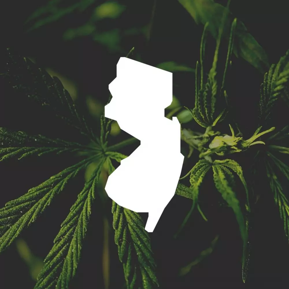 New Jersey to Add Recreational Cannabis on Ballot in 2020