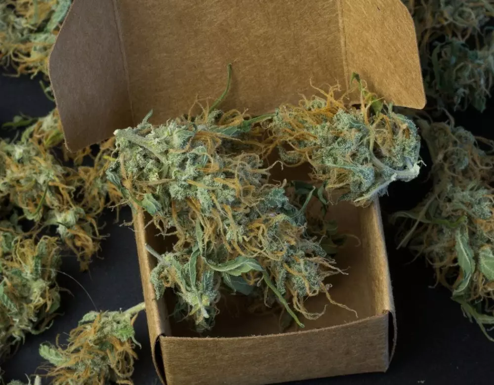 DC Weed Delivery: Commonly Asked Questions | Urban Aroma