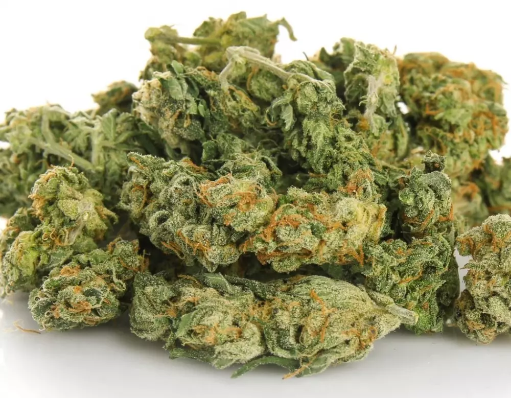 Facts About Blue Dream