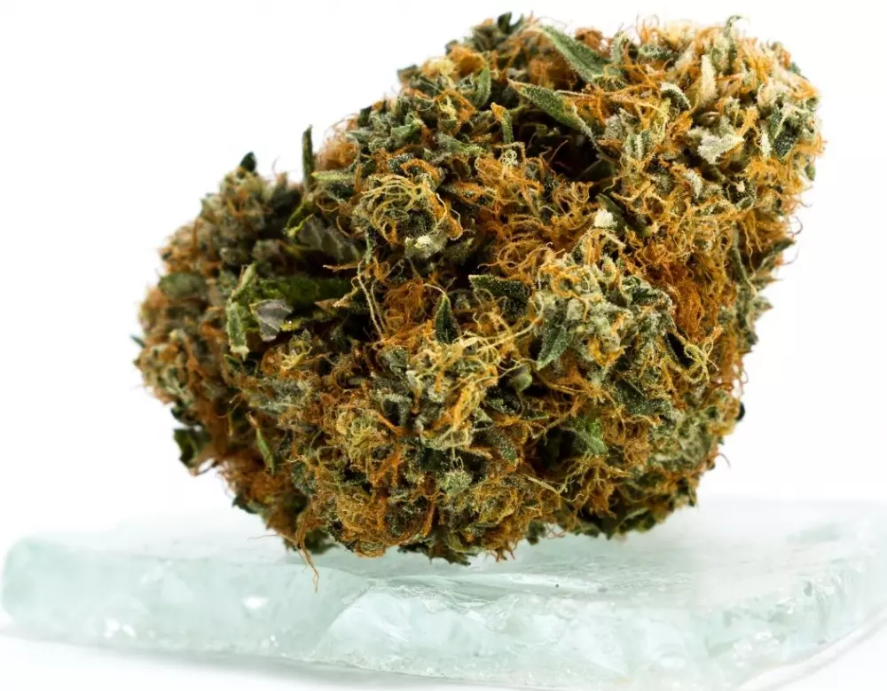 Facts About Sour Diesel