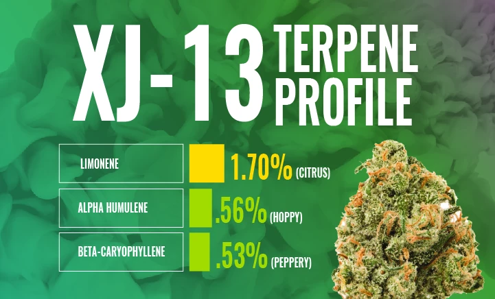 xj-13 terpene profile