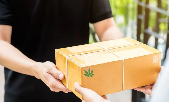 weed delivery in tampa