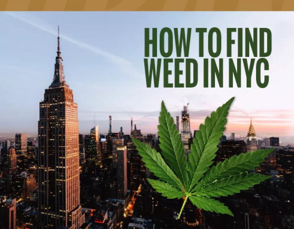 how to find weed in nyc