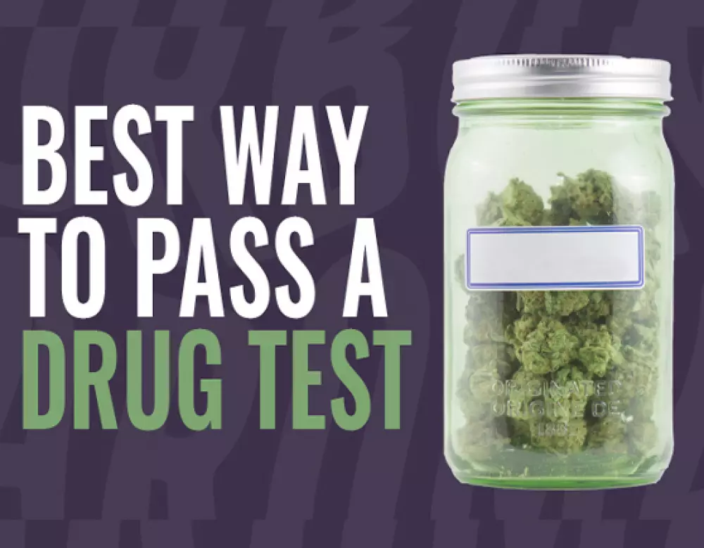 best way to pass a drug test