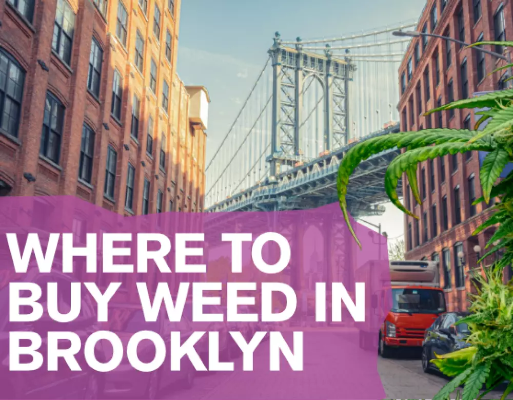 where to buy weed in brooklyn