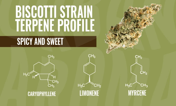 biscotti strain terpene profile