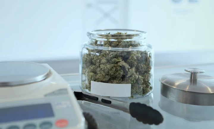 weed in tampa - cannabis flower in a small glass jar