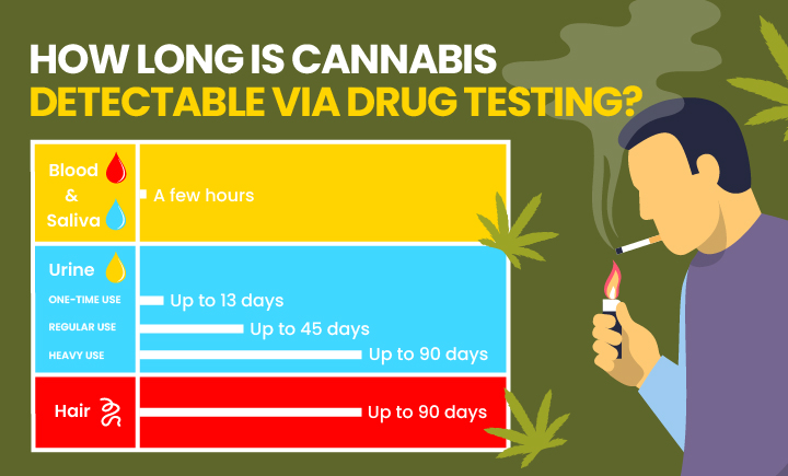 How long does cannabis stay in your system