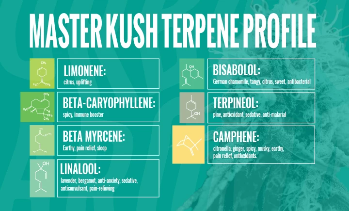 master kush terpene profile