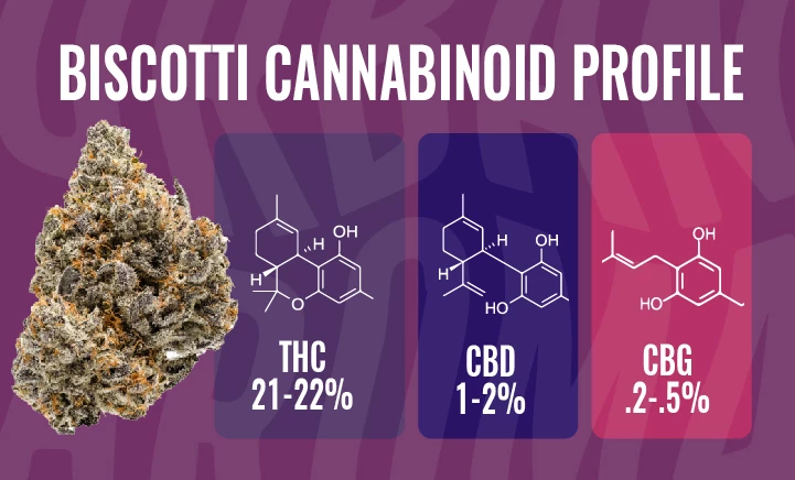 biscotti cannabinoid profile