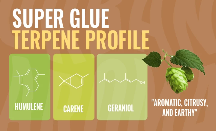 super glue terpene profile