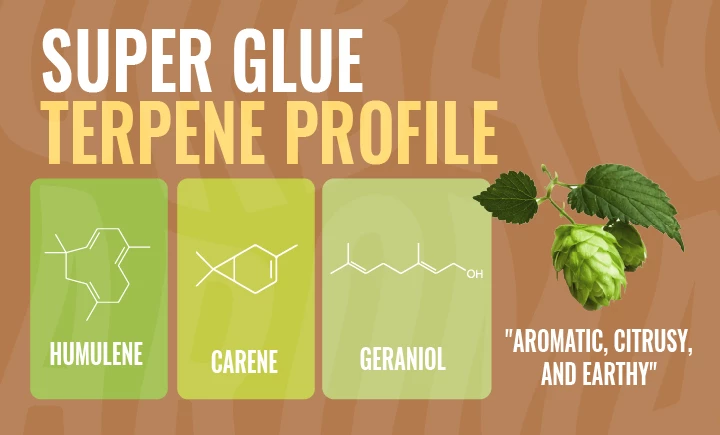 Buy Superglue Terpene Strain Profile