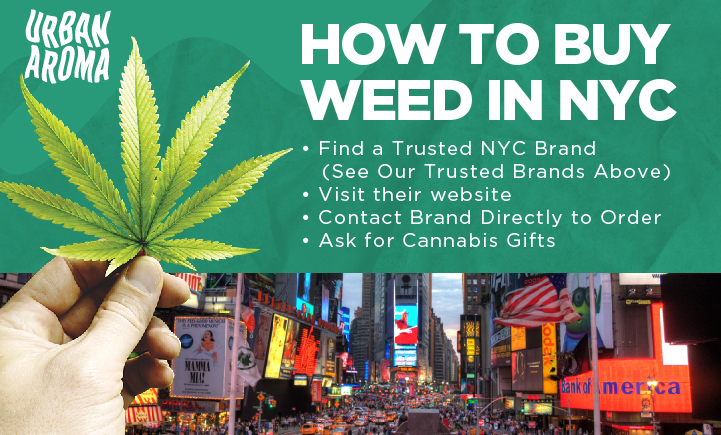 How To Find Weed In New York Urban Aroma