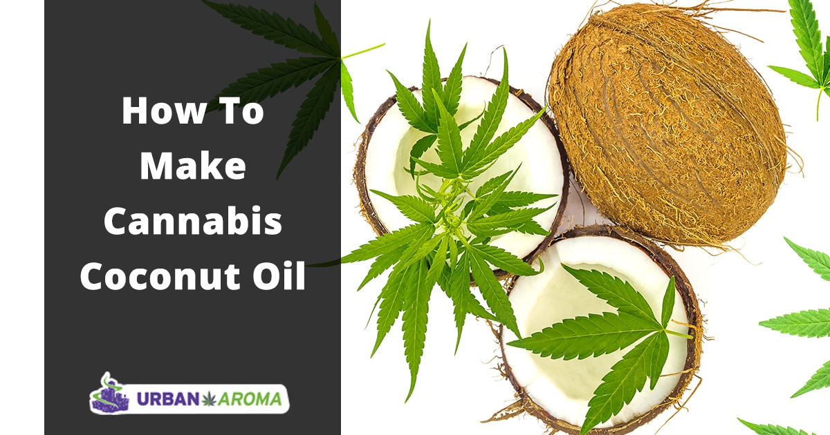 How To Make Cannabis Coconut Oil