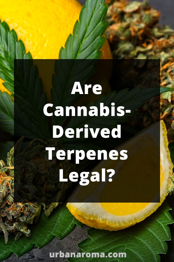 Are Cannabis-Derived Terpenes Legal? urban aroma