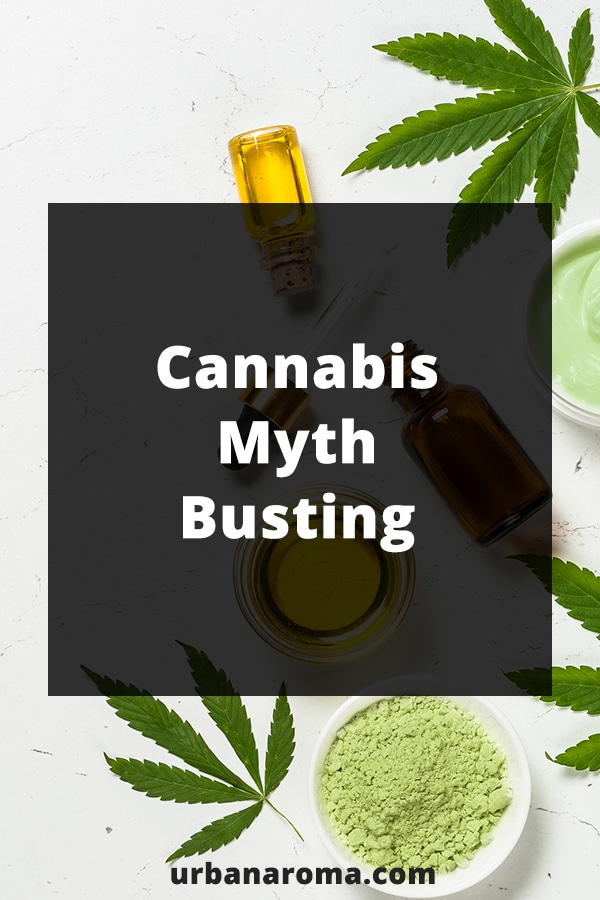cannabis myth busting urban aroma