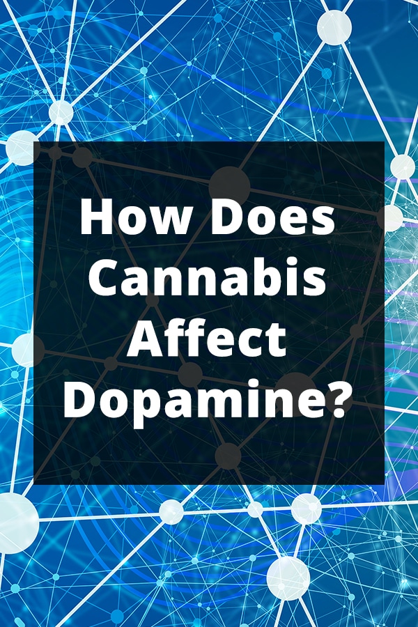 how does cannabis affect dopamine