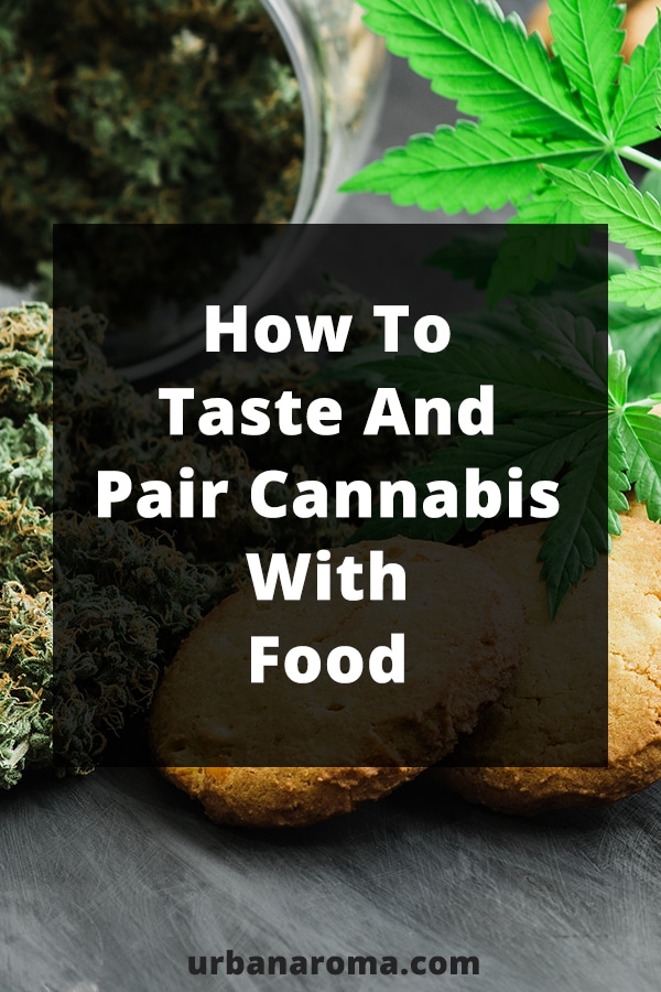 how to taste and pair cannabis with food?