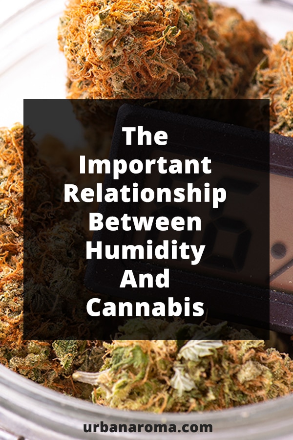the important relationhip between humidity and cannabis