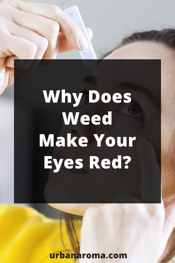 Why Does Weed Make Your Eyes Red? urban aroma